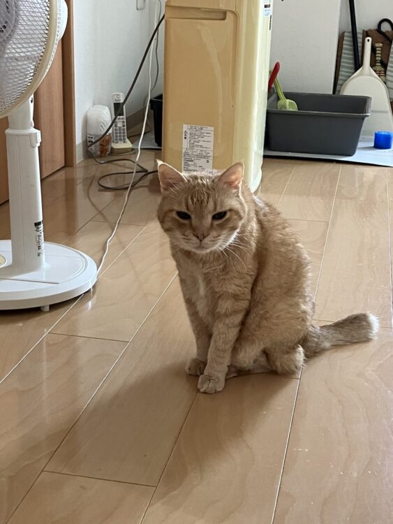 ゴールドエイジ藤枝の強み①