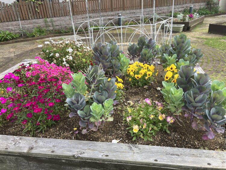 春の花ツアー＆お茶会