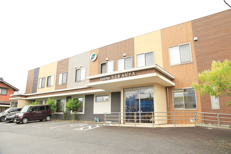 ゴールドエイジ <br>下之宮ルピナス